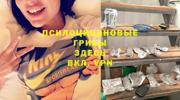 прущий лед Алексин