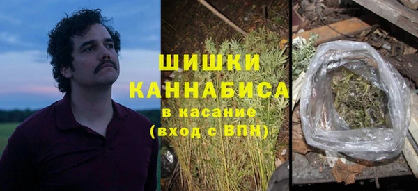 шишки Алексеевка